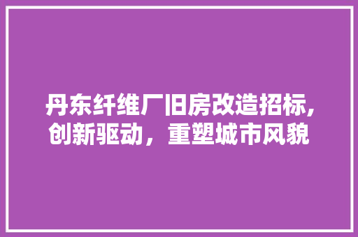 丹东纤维厂旧房改造招标,创新驱动，重塑城市风貌