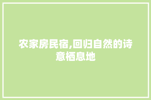 农家房民宿,回归自然的诗意栖息地
