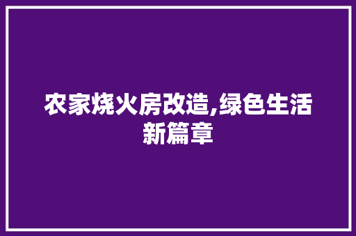 农家烧火房改造,绿色生活新篇章