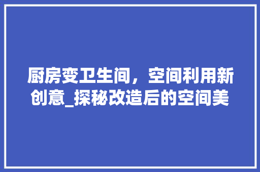 厨房变卫生间，空间利用新创意_探秘改造后的空间美学 装修攻略