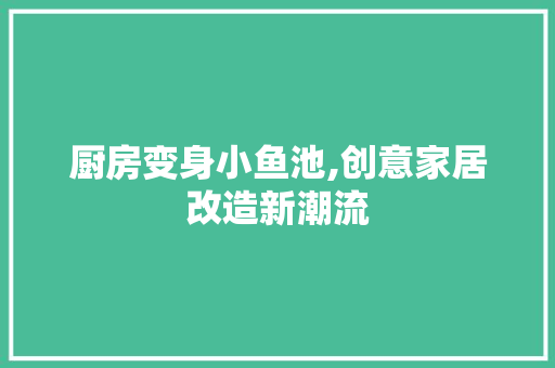 厨房变身小鱼池,创意家居改造新潮流