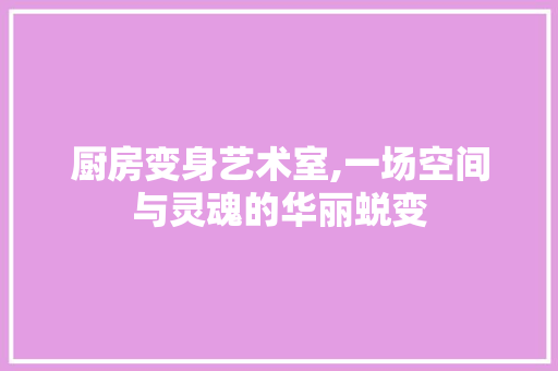 厨房变身艺术室,一场空间与灵魂的华丽蜕变