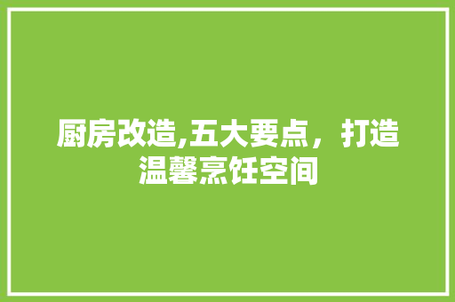 厨房改造,五大要点，打造温馨烹饪空间
