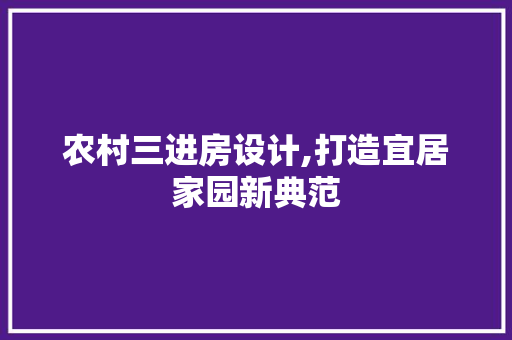 农村三进房设计,打造宜居家园新典范