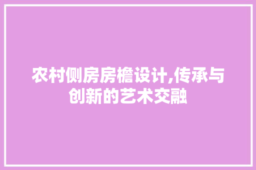 农村侧房房檐设计,传承与创新的艺术交融 隔断设计