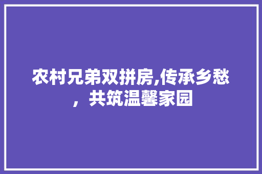 农村兄弟双拼房,传承乡愁，共筑温馨家园