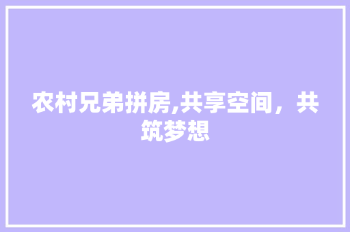 农村兄弟拼房,共享空间，共筑梦想