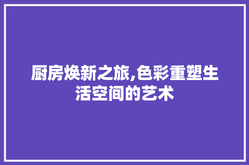 厨房焕新之旅,色彩重塑生活空间的艺术