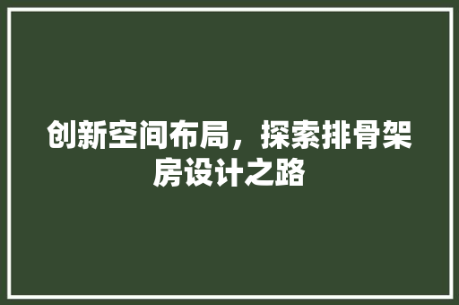 创新空间布局，探索排骨架房设计之路