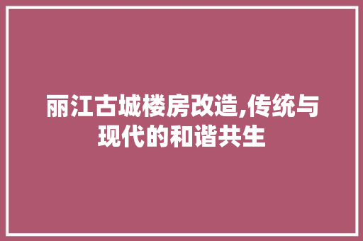丽江古城楼房改造,传统与现代的和谐共生