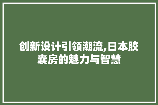 创新设计引领潮流,日本胶囊房的魅力与智慧