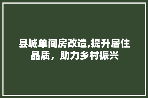 县城单间房改造,提升居住品质，助力乡村振兴