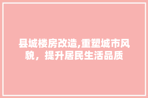 县城楼房改造,重塑城市风貌，提升居民生活品质