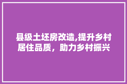 县级土坯房改造,提升乡村居住品质，助力乡村振兴