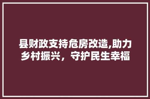 县财政支持危房改造,助力乡村振兴，守护民生幸福