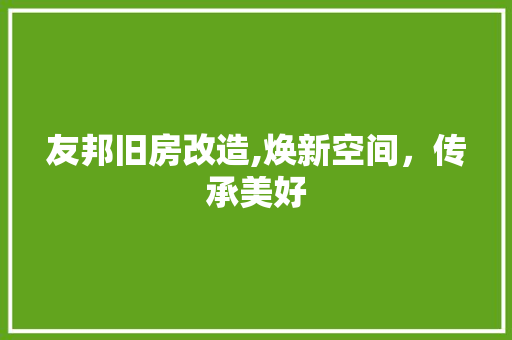友邦旧房改造,焕新空间，传承美好