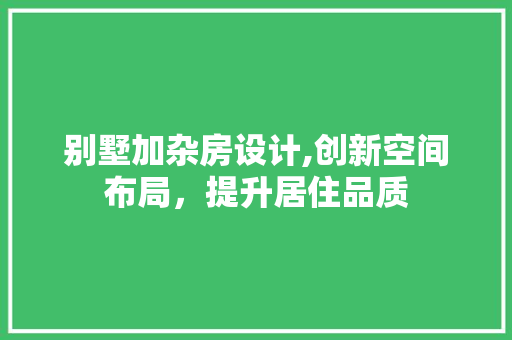 别墅加杂房设计,创新空间布局，提升居住品质