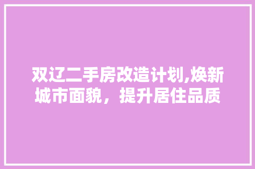 双辽二手房改造计划,焕新城市面貌，提升居住品质
