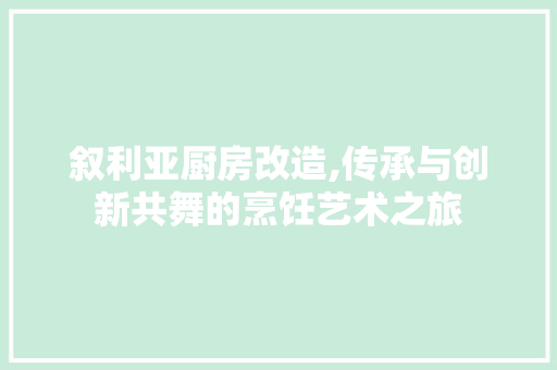 叙利亚厨房改造,传承与创新共舞的烹饪艺术之旅