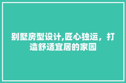 别墅房型设计,匠心独运，打造舒适宜居的家园