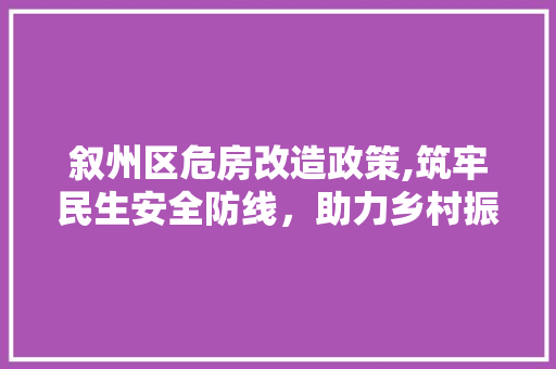 叙州区危房改造政策,筑牢民生安全防线，助力乡村振兴