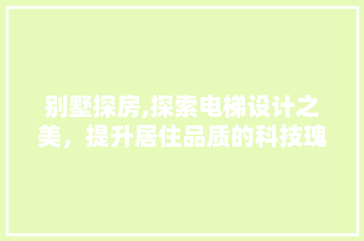 别墅探房,探索电梯设计之美，提升居住品质的科技瑰宝