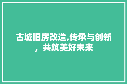 古城旧房改造,传承与创新，共筑美好未来