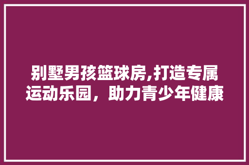 别墅男孩篮球房,打造专属运动乐园，助力青少年健康成长