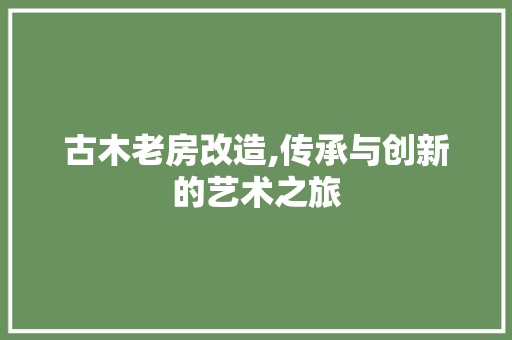 古木老房改造,传承与创新的艺术之旅