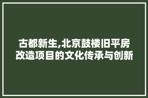 古都新生,北京鼓楼旧平房改造项目的文化传承与创新