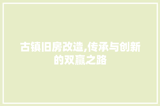 古镇旧房改造,传承与创新的双赢之路
