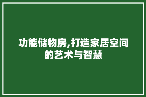 功能储物房,打造家居空间的艺术与智慧