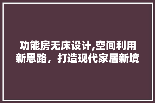 功能房无床设计,空间利用新思路，打造现代家居新境界