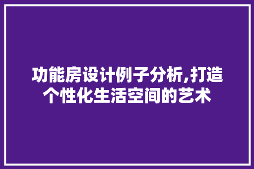 功能房设计例子分析,打造个性化生活空间的艺术 地面装修