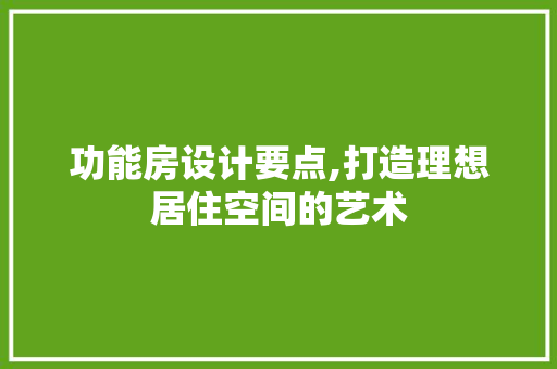 功能房设计要点,打造理想居住空间的艺术