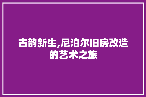 古韵新生,尼泊尔旧房改造的艺术之旅