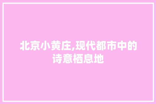 北京小黄庄,现代都市中的诗意栖息地