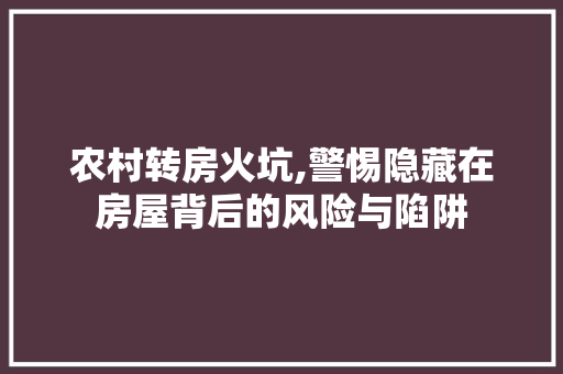 农村转房火坑,警惕隐藏在房屋背后的风险与陷阱 建筑设计