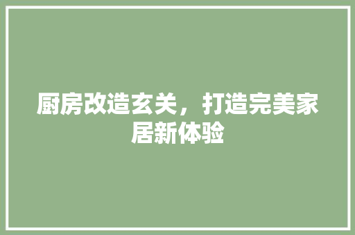 厨房改造玄关，打造完美家居新体验