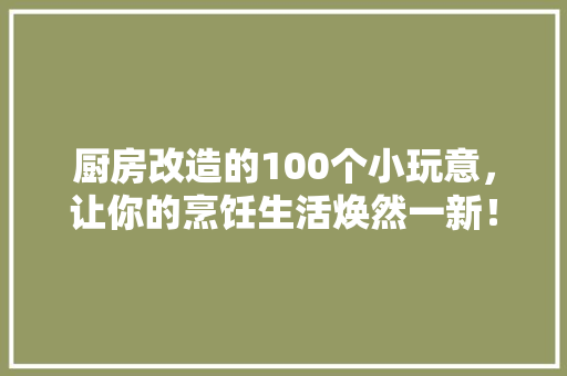 厨房改造的100个小玩意，让你的烹饪生活焕然一新！