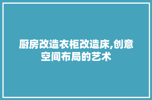 厨房改造衣柜改造床,创意空间布局的艺术