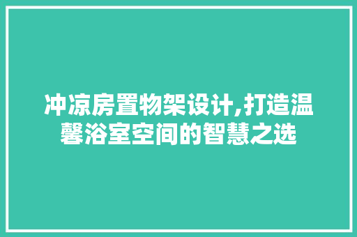 冲凉房置物架设计,打造温馨浴室空间的智慧之选