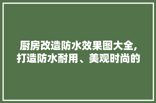 厨房改造防水效果图大全,打造防水耐用、美观时尚的厨房空间