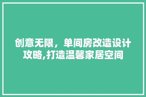 创意无限，单间房改造设计攻略,打造温馨家居空间