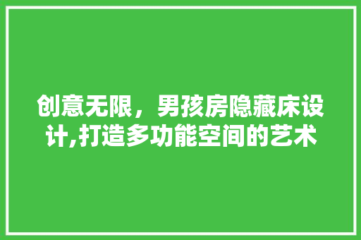 创意无限，男孩房隐藏床设计,打造多功能空间的艺术