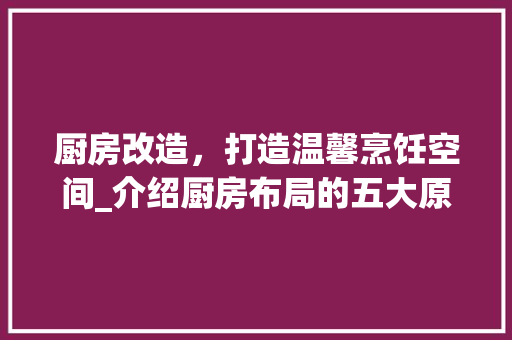 厨房改造，打造温馨烹饪空间_介绍厨房布局的五大原则