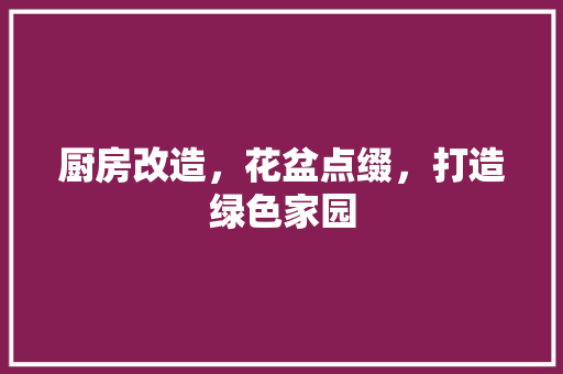 厨房改造，花盆点缀，打造绿色家园