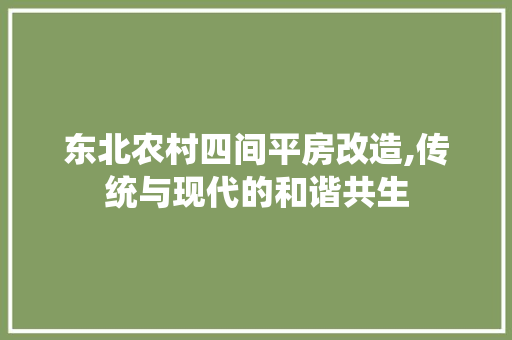 东北农村四间平房改造,传统与现代的和谐共生