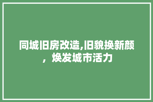 同城旧房改造,旧貌换新颜，焕发城市活力