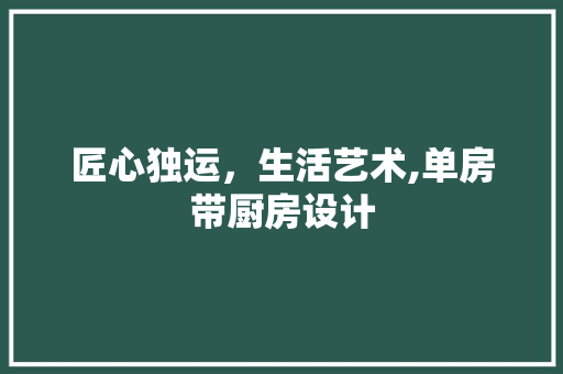 匠心独运，生活艺术,单房带厨房设计